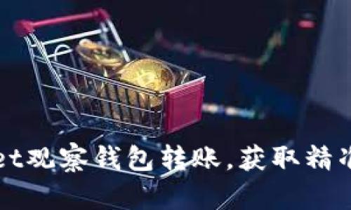 如何使用TPWallet观察钱包转账，获取精准收益与安全保障