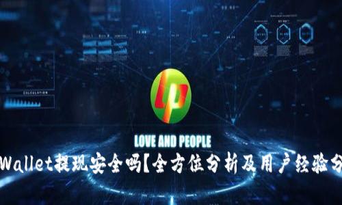 TPWallet提现安全吗？全方位分析及用户经验分享