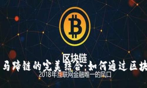 深入了解TPWallet与马蹄链的完美结合：如何通过区块链技术获得投资回报