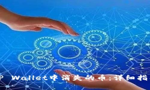 如何找回在TP Wallet中消失的币：详细指导与实用技巧