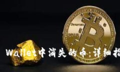 如何找回在TP Wallet中消失的币：详细指导与实用