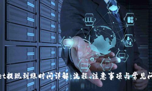 tpwallet提现到账时间详解：流程、注意事项与常见问题解答