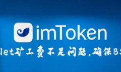 如何解决TPWallet矿工费不足问题，确保BSC交易顺利