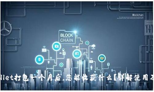 tpwallet打包一个月后，您能收获什么？详解使用及策略