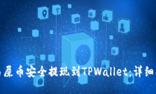如何将欧易屎币安全提现到TPWallet：详细指南与技巧