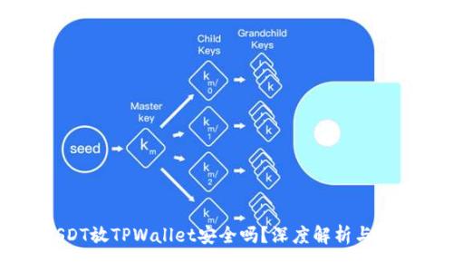 高仿USDT放TPWallet安全吗？深度解析与风险防范