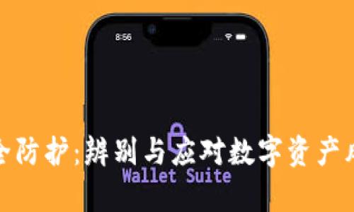 tpwallet安全防护：辨别与应对数字资产风险的全攻略