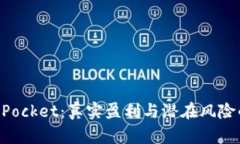揭秘TokenPocket：真实盈利与潜在风险的全面分析
