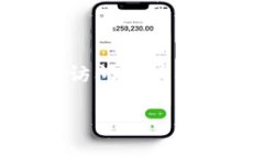 TPWallet 是一个去中心化钱包，专注于支持多个区