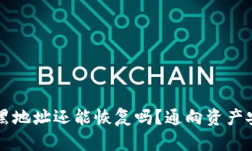 TPWallet被拉黑地址还能恢复吗？通向资产安全的解决方案