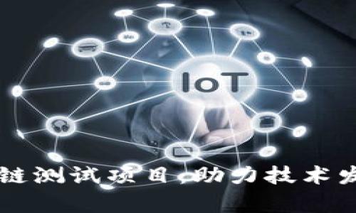 深入解析区块链测试项目：助力技术发展的关键环节