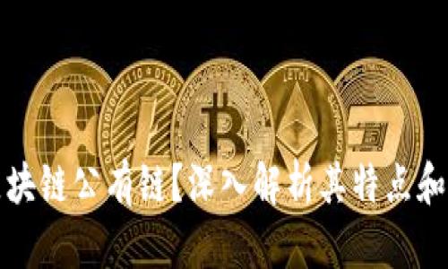 什么是区块链公有链？深入解析其特点和应用前景