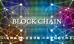 tpwallet电脑版导入方法详解：从新手到高手的全面