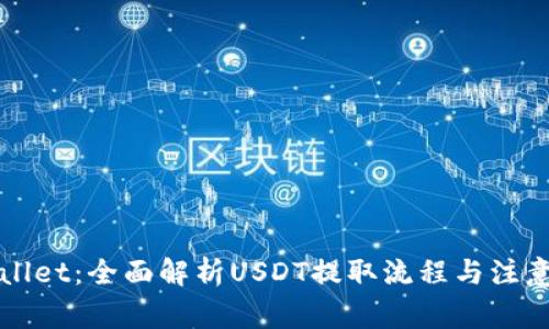 TPWallet：全面解析USDT提取流程与注意事项