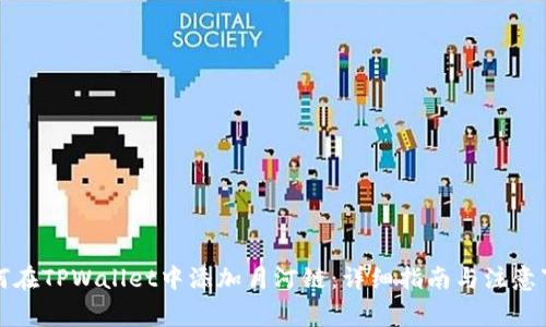 如何在TPWallet中添加月河链：详细指南与注意事项