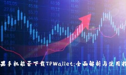 苹果手机能否下载TPWallet：全面解析与使用指南