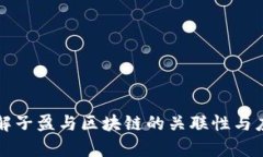 深入了解子盈与区块链的关联性与应用前景